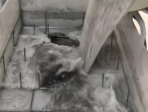 清水淹沒紫銅板材銅排